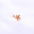 Starfish Studs